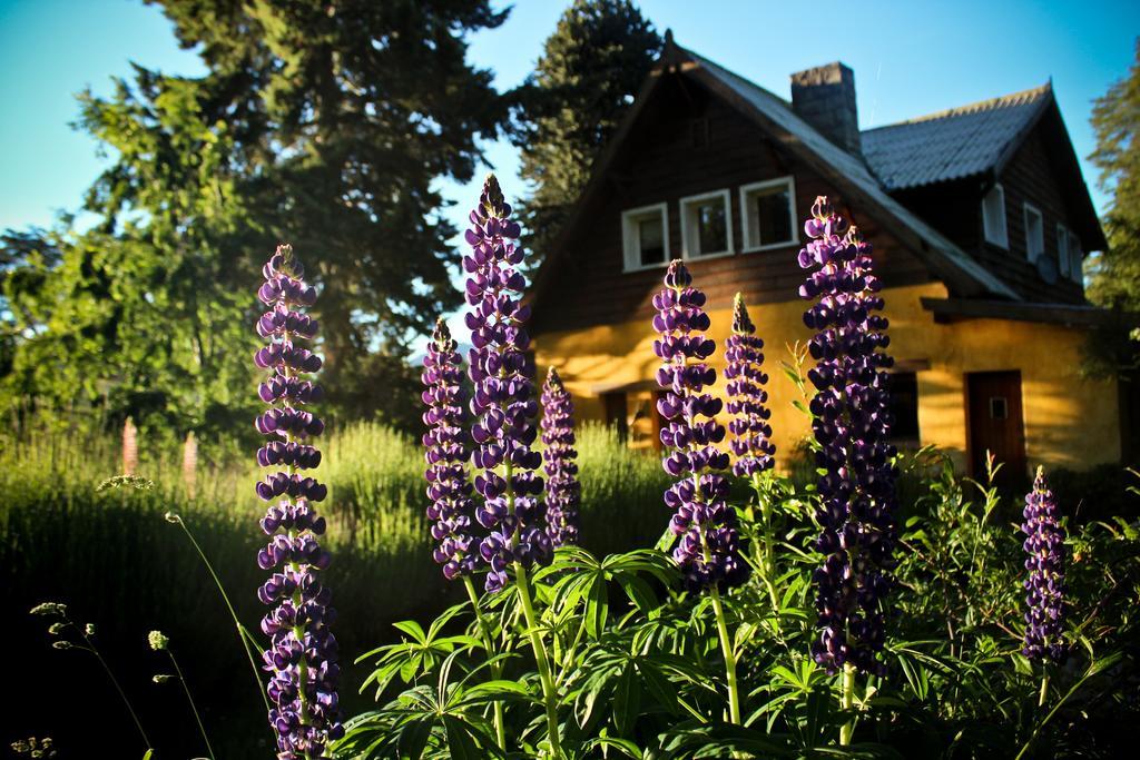 Los Juncos Patagonian Lake House Bariloche Buitenkant foto